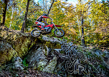 Der Getzenwald bebt wieder – Countdown zum GetzenRodeo 2025 Der Getzenwald bebt wieder – Countdown zum GetzenRodeo 2025